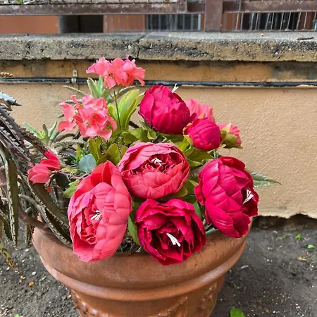 Villa dei fiori-3